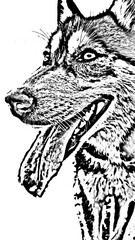 The illustration of dog 
