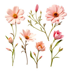 Pink Flower Bouquet with Blooming and Budding Flowers on Green Stems