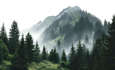 Foggy mountain landscape in the morning with trees and snowy peaks