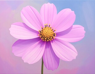 Pink Cosmos Flower Close-Up