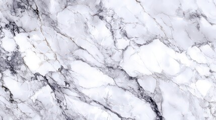 Obraz premium Abstract Marble Texture With White Gray And Black Veins