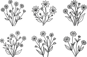 Set of wildflower outline vector for botanical and decorative design