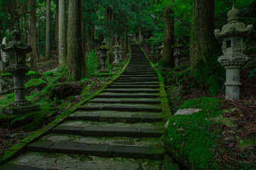 高住神社の参道
