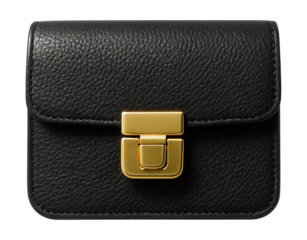 Textured rectangular mini bag with a gold-tone clasp.