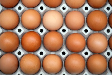 Egg container filled with fresh eggs seen from above