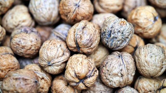 walnut background: a pile of organic walnuts freshly picked from the walnut tree - Powered by Adobe