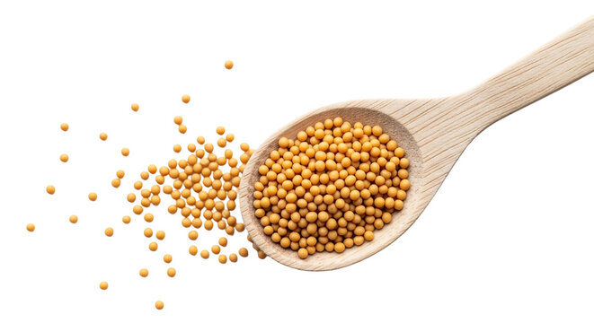 Mustard seeds in a wooden spoon isolated on transparent background, a flavorful spice for culinary creations and traditional medicine - Powered by Adobe