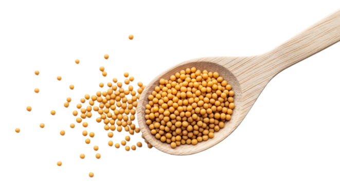 Mustard seeds in a wooden spoon isolated on transparent background, a flavorful spice for culinary creations and traditional medicine
