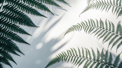 Beautiful lush fern foliage with vibrant green leaves creating a peaceful natural scene with sunlight shadows and intricate botanical patterns