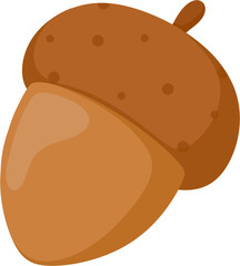 illustration acorn