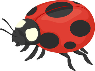 Obraz premium illustration ladybug