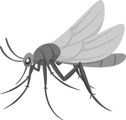 illustration mosquito