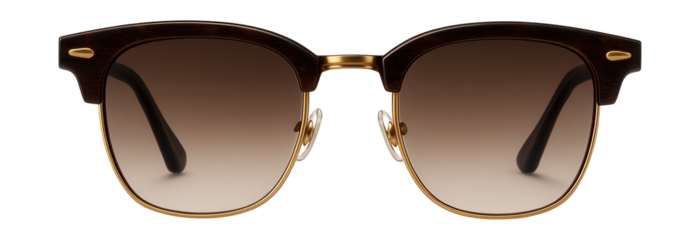 Browline sunglasses with horn-rimmed design and gold metal details.