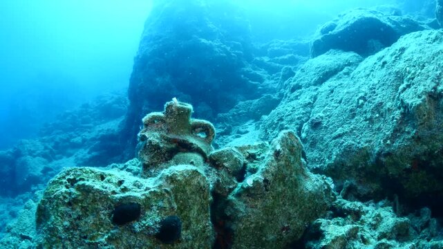 amphora pieces underwater ancient antic amphoras for scuba divers exploring and discovering deep water