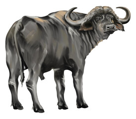 A digital watercolor painting of a buffalo standing sideways, expressing strength and tranquility through soft color tones and detailed texture.