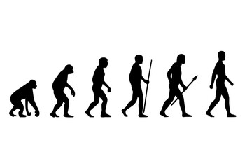 Human Evolution Line