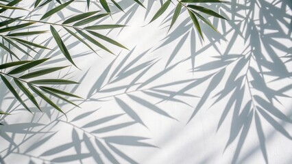 Elegant botanical shadow pattern of lush green leaves and foliage creating natural, calming background with vibrant sunlight and organic design for outdoor decor