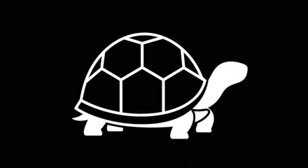 Obraz premium White stylized turtle silhouette on a black background