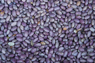 purple beans background