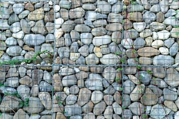 Gabions, pebble stones in wire mesh cages, with thorny twines already conquering the metal and stone area.