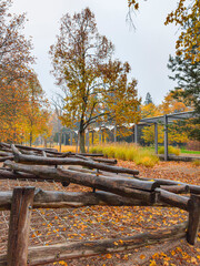 Autumn public park with playground elements made of wooden logs, covered in colorful fallen leaves
