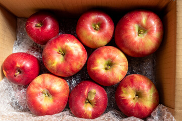 日本の産地直送箱入りリンゴ