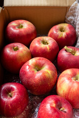 日本の産地直送箱入りリンゴ