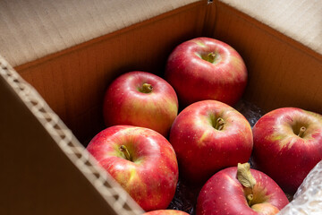 日本の産地直送箱入りリンゴ