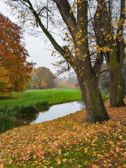 Peaceful autumn scenery with a narrow stream flowing between trees in a historical park