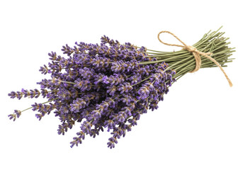 Isolated sprig of lavender tied with jute twine, aromatherapy and essential oil beauty © Cedric