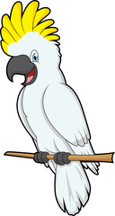 Cute cockatoo in branch