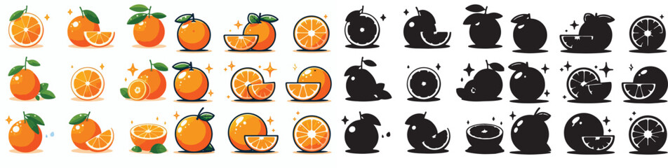Set of vector and shilhouttes images of citrus fruits on a white background