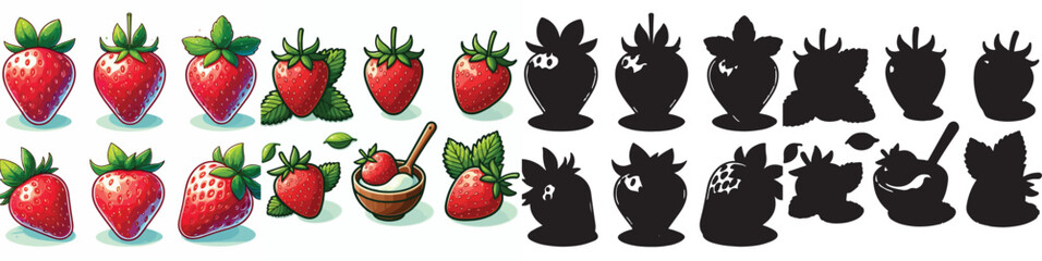 Set of vector and shilhouttes images of strawberry fruit on a white background