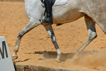 Obraz premium Equestrian sport, horse riding dressage competition, gray horse in motion, rider in black boots, sand arena, dust, dynamic movement, outdoor training, equine performance.