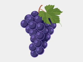 Fototapeta premium A cluster of rich, purple grapes hangs on a vine leaf, showcasing their round shape and glossy texture, inviting viewers to appreciate their natural beauty and juiciness.