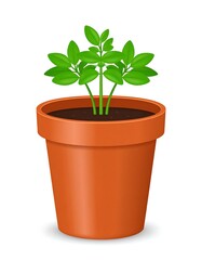 Fototapeta premium Digitally rendered potted plant with bright green leaves and brown soil