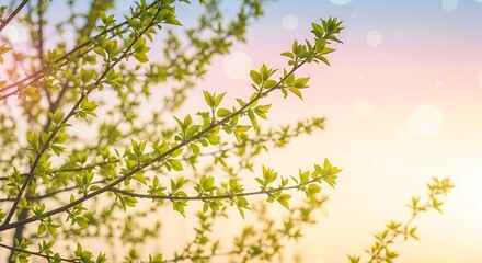 Randomly growing branches with delicate new leaves, soft pastel sky, morning sunlight haze, dreamy bokeh, airy composition