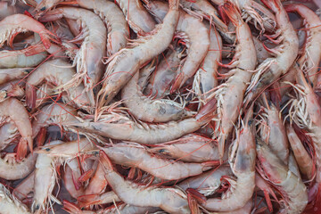 Fresh sea prawns seamless background. Pile of fresh shrimps or red prawns. 
