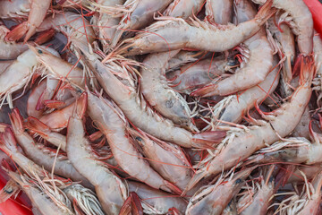 Fresh sea prawns seamless background. Pile of fresh shrimps or red prawns.
