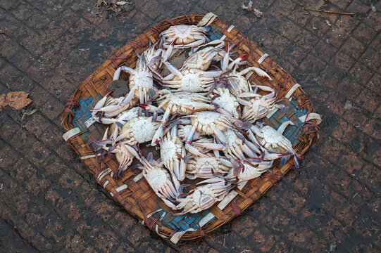 Pile of sea crabs in a bamboo soop. Healthy sea food.
