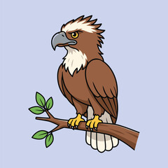 Cute Philippine Eagle — Endemic Wildlife of Philippines | Flat Vector Illustration
