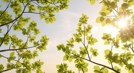 Natural spring branches composition, short and long twigs with fresh light-green leaves, glowing sunlight and bokeh