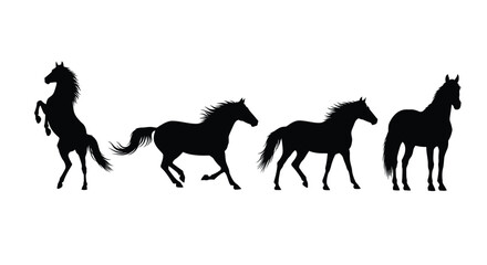 Silhouette of four horses in different poses isolated on white background