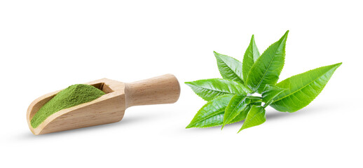 matcha green tea and tea leaves on transparent png ( image from camera )