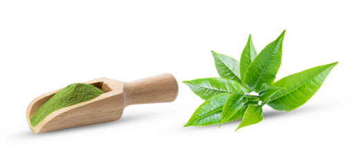 matcha green tea and tea leaves on transparent png ( image from camera )