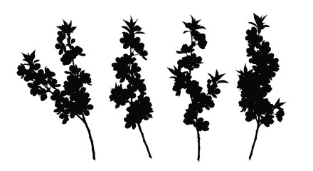 Four flowering branches in silhouette isolated on white background