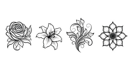 Four floral sketches isolated on white background with rose, lily and leaf