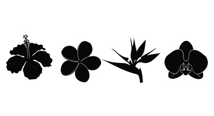 Four black flowers isolated on white background are in a row