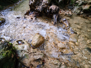 Clear stream water flowing over beige rocks and roots creating small rapids and splashes in a sunlit forest environment