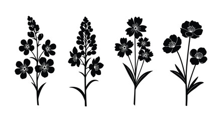 Four wax flower silhouette isolated on white background for design use